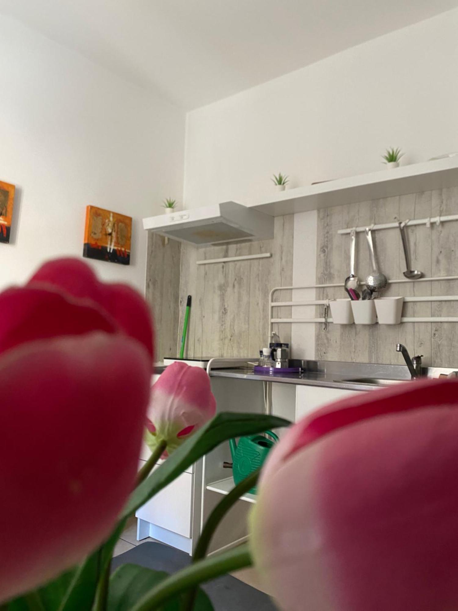 B&B Regina Carolina Caltagirone Dış mekan fotoğraf